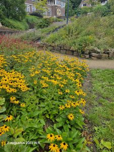 Tuinen van gemeentehuis