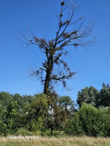 0041 Trage tocht Gulpen 2023