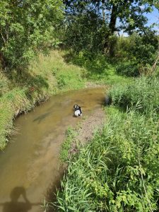 0056 Trage tocht Gulpen 2023