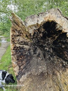 0058 Trage tocht Gulpen 2023