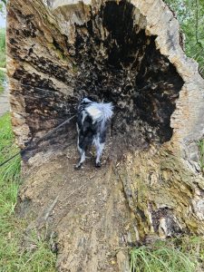 0060 Trage tocht Gulpen 2023