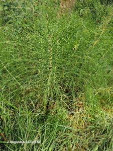 0068 Trage tocht Gulpen 2023