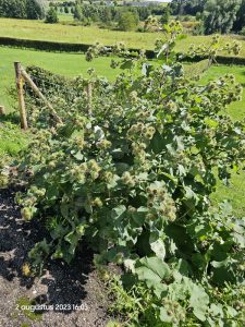 0072 Trage tocht Gulpen 2023