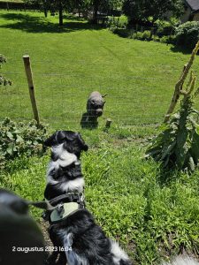 0075 Trage tocht Gulpen 2023