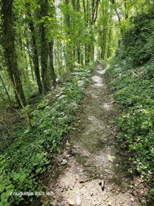 0077 Trage tocht Gulpen 2023