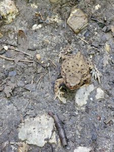 0078 Trage tocht Gulpen 2023