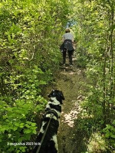 0081 Trage tocht Gulpen 2023