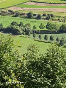 0085 Trage tocht Gulpen 2023