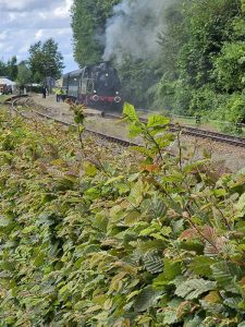 0106 Trage tocht Gulpen 2023