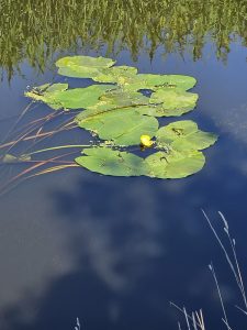 029 Rondwandeling Groot Agelo - Hunenborg 20230813