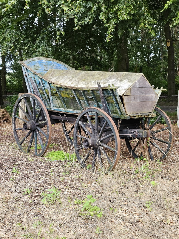 233 Trage Tocht Vasse 20230808