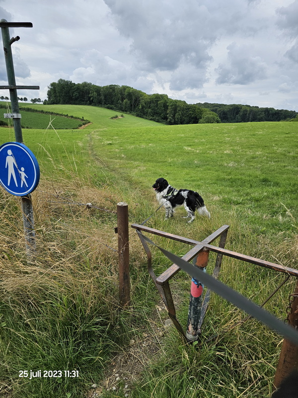 007 Wandeling G4 Gulpen Wittem 20230725