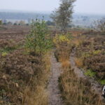 2024 11 10 Holterberg Rondwandeling 00101 resize