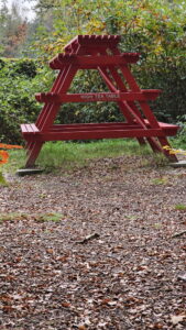 Ruurlo Liefdespad 00010_resize