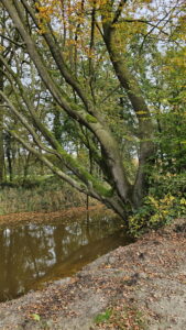 Ruurlo Liefdespad 00017_resize