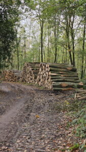 Ruurlo Liefdespad 00045_resize